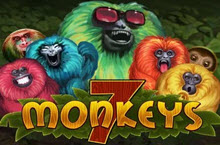 7 Monkeys